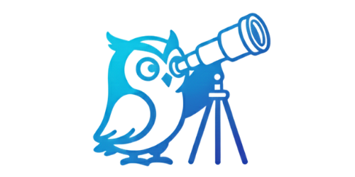 Scout the Owl viewing the workflow