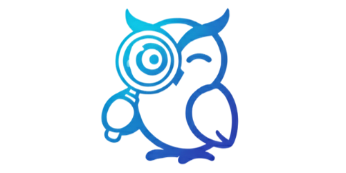 Scout the Owl reviewing the workflow